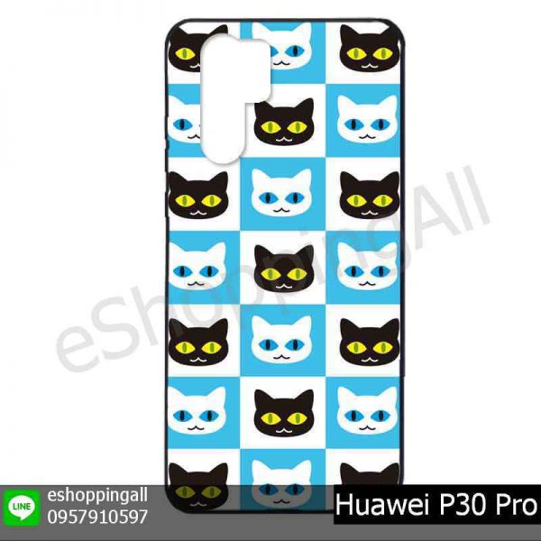 MHW-022A103 Huawei P30 Pro เคสมือถือหัวเหว่ยแบบยางพิมพ์ลาย