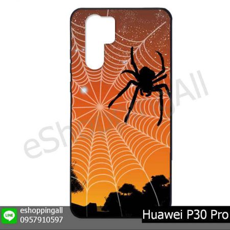 MHW-022A108 Huawei P30 Pro เคสมือถือหัวเหว่ยแบบยางพิมพ์ลาย