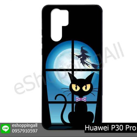 MHW-022A114 Huawei P30 Pro เคสมือถือหัวเหว่ยแบบยางพิมพ์ลาย