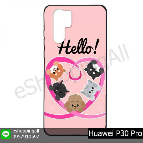 MHW-022A120 Huawei P30 Pro เคสมือถือหัวเหว่ยแบบยางพิมพ์ลาย